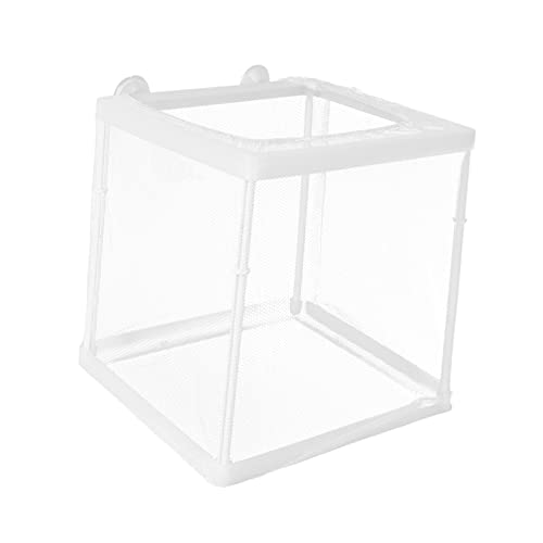 ibasenice Aquarium Isolation Box für Fischzucht Praktischer Brutkasten aus Netz Abnehmbares Design für Heim und Aquariennutzung für Fischaufzucht und Babyfische ibasenice Aquarium Isolation Box für Fischzucht Praktischer Brutkasten aus Netz Abnehmbares Design für Heim und Aquariennutzung für Fischaufzucht und Babyfische von ibasenice