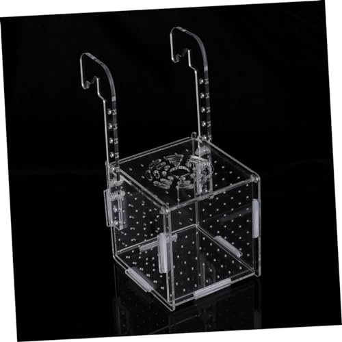 ibasenice Aquarium Isolationsbox mit Haken Transparentes Aufzuchtbecken für Lebendgebärende Fische Jungfisch Brutkasten zur Sicheren Fischzucht und Beobachtung ibasenice Aquarium Isolationsbox mit Haken Transparentes Aufzuchtbecken für Lebendgebärende Fische Jungfisch Brutkasten zur Sicheren Fischzucht und Beobachtung von ibasenice