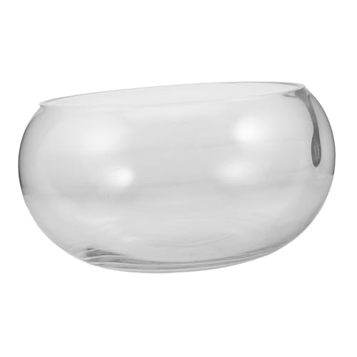 ibasenice Blumentopf Aus Glas Terrarien Drinnen Groß Fischglasvase Anlage Saftig Pflanztöpfe Für Zimmerpflanzen Schüssel Tank Tischplatte Container Schreibtisch Desktop Transparent von ibasenice