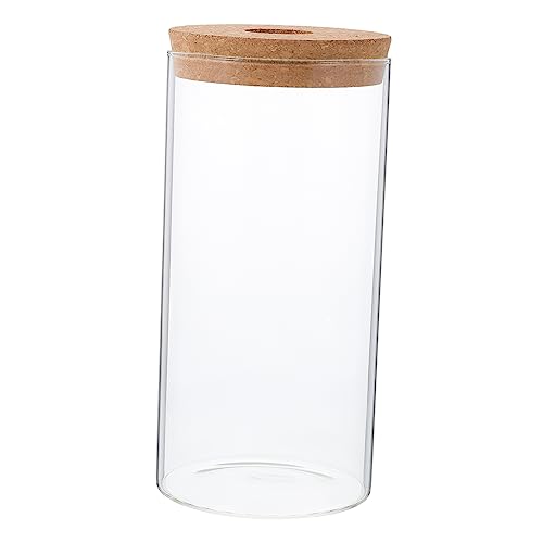 ibasenice Borosilikatglas Ökologischer Flasche Pflanzenflasche Aus Glas Flasche Mit Mikrolandschaft Micro-landschafts-DIY-Flasche Moos Landschaft Container Landschaft Flasche Transparent von ibasenice