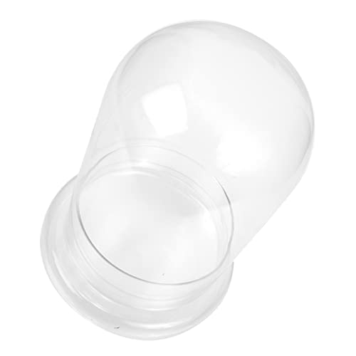 ibasenice DIY Terrarium Ökologie Glasflasche für Moos Pflanzen Transparentes Landschaftsgefäß Loch zur Dekoration von und Außenbereichen ibasenice DIY Terrarium Ökologie Glasflasche für Moos Pflanzen Transparentes Landschaftsgefäß Loch zur Dekoration von und Außenbereichen von ibasenice