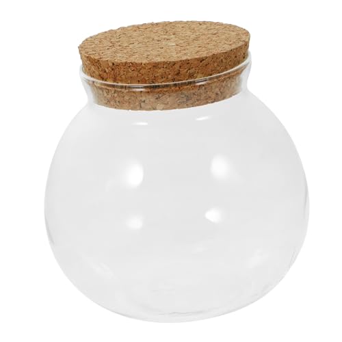 ibasenice Dekorative Glasflasche Mit Korkdeckel DIY Terrarium Flasche Für Pflanzen Zuhause Und Büro Kreative Tischdekoration Geeignet Für Moos Und Farbsteine ibasenice Dekorative Glasflasche Mit Korkdeckel DIY Terrarium Flasche Für Pflanzen Zuhause Und Büro Kreative Tischdekoration Geeignet Für Moos Und Farbsteine von ibasenice