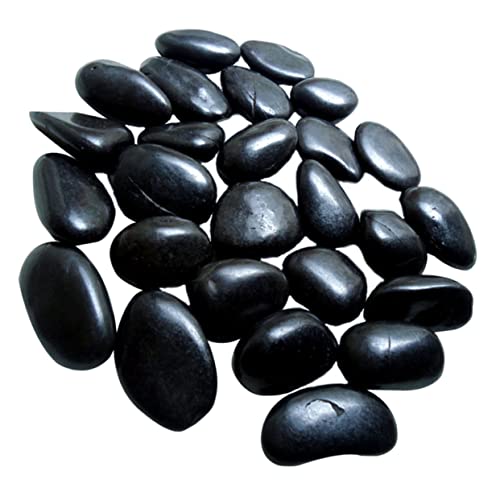 ibasenice Dekorative Steine für Aquarien und Pflanzen Schwarze Natürliche Kieselsteine für Garten und Aquariendekoration Hochwertige und Langlebig ibasenice Dekorative Steine für Aquarien und Pflanzen Schwarze Natürliche Kieselsteine für Garten und Aquariendekoration Hochwertige und Langlebig von ibasenice