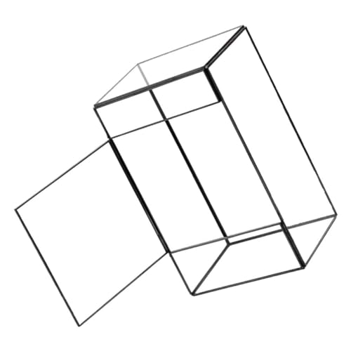 ibasenice Desktop -Landschaftstank Pflanzen drinnen rechteckig saftig Anlage selbst leeres Terrarium Gla -Terrarium Mikro-Landschaftsbehälter Displayhalter im Querformat Glas von ibasenice