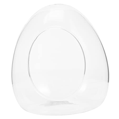 ibasenice Eco-Flasche Kräutertöpfe für den Innenbereich im Freien Pflanzen Nebel drinnen Anlage Moos Landschaft Container Moosbeere Behälter Eiform Terrarium Glas Transparent von ibasenice