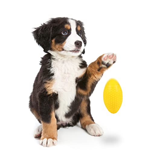 ibasenice Fußballspielzeug Hundespielzeug Kauspielzeug Kauen Reinigen Backenzahn Hundespielzeug Hunde Hundeball Rugby Haustierspielzeug Haustierspielzeug Gelbe Emulsion ibasenice Fußballspielzeug Hundespielzeug Kauspielzeug Kauen Reinigen Backenzahn Hundespielzeug Hunde Hundeball Rugby Haustierspielzeug Haustierspielzeug Gelbe Emulsion von ibasenice
