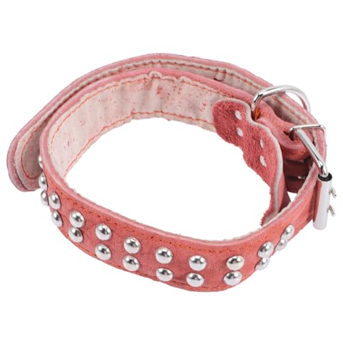 ibasenice Hundehalsband Aus Hochwertigem Material Verstellbar Für Mittelgroße Hunde Dickes Design Bequem Und Atmungsaktiv Für Urlaub von ibasenice