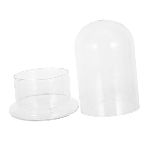ibasenice Glas Terrarium Vase DIY Landschafts-flaschengarten für Moos Pflanzen Transparentes Hydroponik-Display Dekoratives Pflanzgefäß für Kleine Räume und Schreibtischdekoration von ibasenice