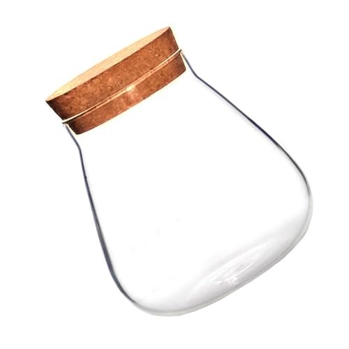 ibasenice Glasbehälter mit Korkverschluss Natürliche Flasche DIY Micro Landscape Terrarium Vase für Sukkulenten Dekoration Geschenkidee Raumakzent von ibasenice