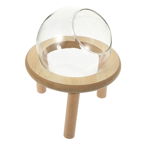ibasenice Hamster Badezimmer Behälter Transparentes Tragbares Hamster Sandbad Rutschfestes Design Für Kleine Wie Chinchillas Für Spaß ibasenice Hamster Badezimmer Behälter Transparentes Tragbares Hamster Sandbad Rutschfestes Design Für Kleine Wie Chinchillas Für Spaß von ibasenice