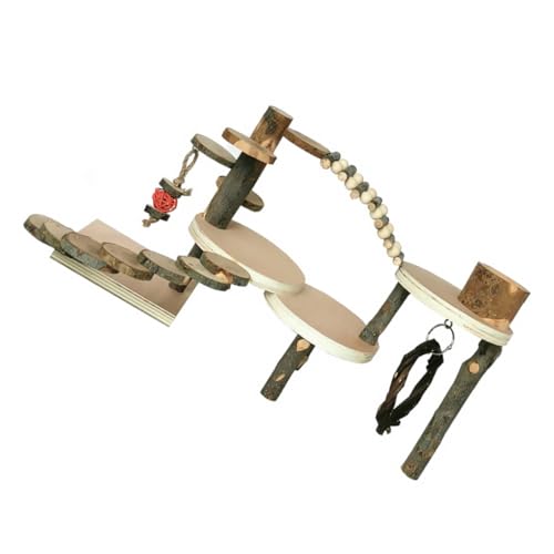ibasenice Hamster-Kletterleiter Haustier Klettern Kletterspielzeug drinnen Hamster hamsterspielzeug Pet Ladder Toy Hamster Kletterleiter Leiter aus Rattenholz Apfelholz von ibasenice