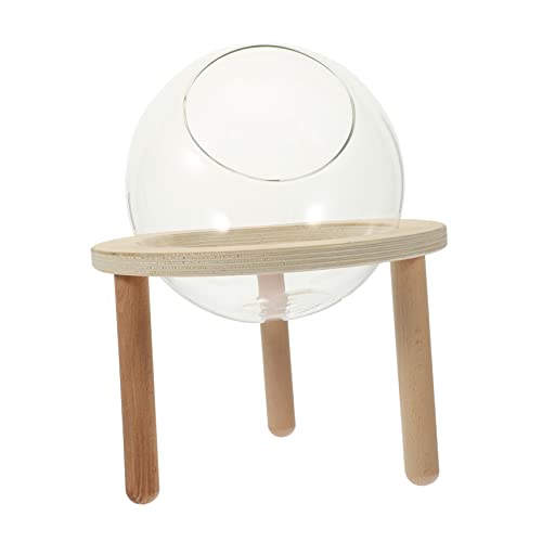 ibasenice Hamsterbad Transparentes Sandbad für Kleine Haustiere Design Bad Zubehör für Hamster Praktische und Kompakte Bademöglichkeit und rutschfest für Sicheres ibasenice Hamsterbad Transparentes Sandbad für Kleine Haustiere Design Bad Zubehör für Hamster Praktische und Kompakte Bademöglichkeit und rutschfest für Sicheres von ibasenice