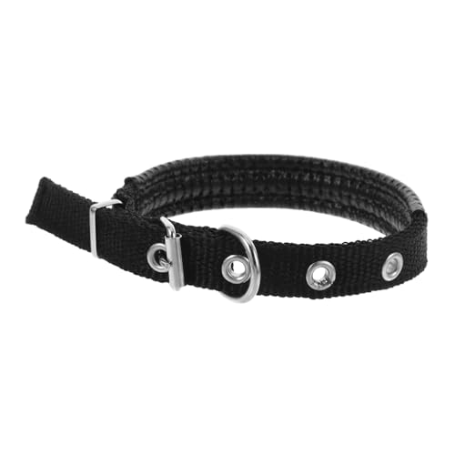 ibasenice Haustierhalsband Für Haustiere Polyesterhalsband Für Hunde Abriebfestes Katzenhalsband Weiche Katzenhalsbänder Ersatz-hundehalsband Black Gürtelschnalle Aus Legierung ibasenice Haustierhalsband Für Haustiere Polyesterhalsband Für Hunde Abriebfestes Katzenhalsband Weiche Katzenhalsbänder Ersatz-hundehalsband Black Gürtelschnalle Aus Legierung von ibasenice