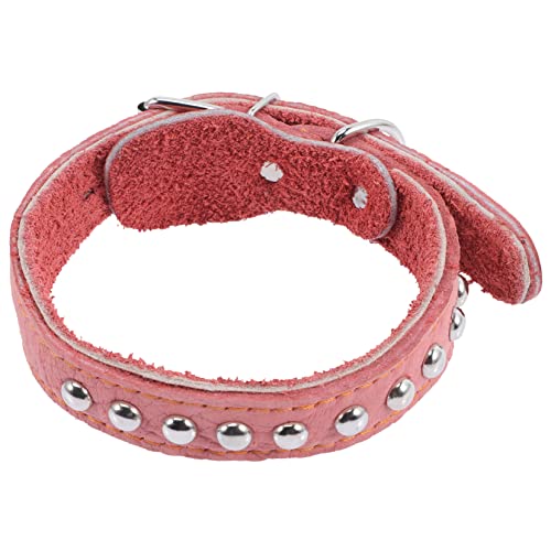 ibasenice Haustierhalsband Halsabnutzung Für Hunde Personalisierte Schnalle Hundehalsband Für Große Hunde Party Weich Anliegende Kragen Chihuahua- Gepolstert Name von ibasenice