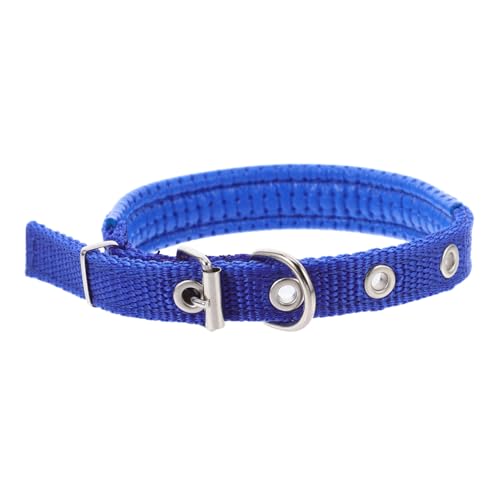 ibasenice Haustierhalsband Welpenhalsband Hundehalsband Schaumstoff Blau von ibasenice