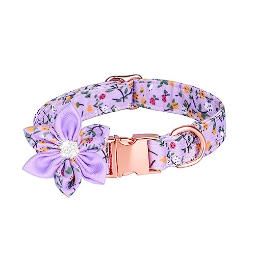 ibasenice Haustierhalsband für Kragen mit Blumenanhänger gänseblümchen hundehalsband Hund rot Welpe Dekorative Haustierkragen Party Gefälligkeiten Reine Baumwolle Lavendel Zufällige Farbe ibasenice Haustierhalsband für Kragen mit Blumenanhänger gänseblümchen hundehalsband Hund rot Welpe Dekorative Haustierkragen Party Gefälligkeiten Reine Baumwolle Lavendel Zufällige Farbe von ibasenice