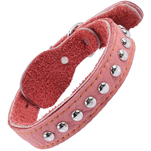 ibasenice Haustierhalsband pet Supplies Kitten Hundeaccessoire hundehalsbänder Halsabnutzung für Hunde gepolstert Party Name Hundehalsband für große Hunde Dickes Hundehalsband von ibasenice