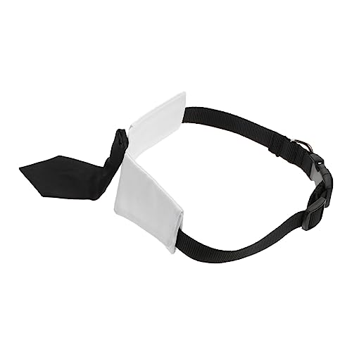ibasenice Hundehalsband Krawatten Personalisierbar Für Hunde Halsband Für Welpen Hundekrawatten Krawatte Für Mittelgroße Hunde Anhänger Krawatte Hund Personalisierbar Hundekleid ibasenice Hundehalsband Krawatten Personalisierbar Für Hunde Halsband Für Welpen Hundekrawatten Krawatte Für Mittelgroße Hunde Anhänger Krawatte Hund Personalisierbar Hundekleid von ibasenice