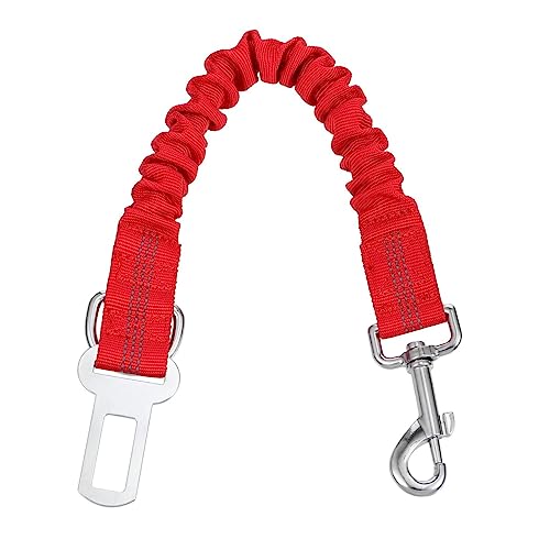 ibasenice Hundeleine für Haustiere Elastisch Reflektierend für Nächte Outdoor Aktivitäten Bequem für Welpen Perfektes ibasenice Hundeleine für Haustiere Elastisch Reflektierend für Nächte Outdoor Aktivitäten Bequem für Welpen Perfektes von ibasenice
