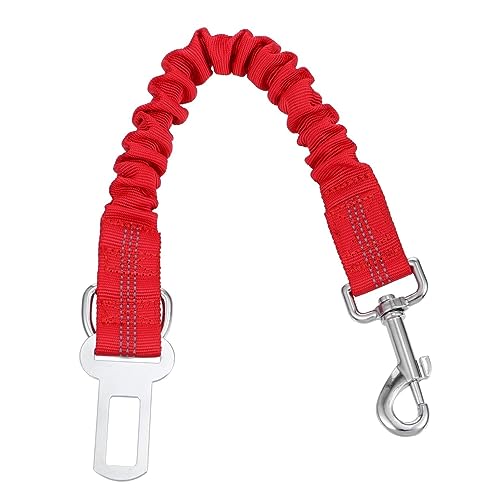 ibasenice Hundeleine für Haustiere Elastische Reflektierende Leine für Sicheres Nachtwandern Strapazierfähiges Material für Hundetraining und Bungee Design ibasenice Hundeleine für Haustiere Elastische Reflektierende Leine für Sicheres Nachtwandern Strapazierfähiges Material für Hundetraining und Bungee Design von ibasenice