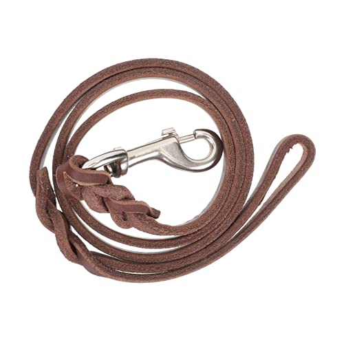 ibasenice Hundeleine hundegurt hundelaufband Hundeauslauf hundezubehör hundetraining Leinentraining Welpe groß Hundeseil führen für Hundespaziergang Sicherheitshundleine Rindsleder Brown von ibasenice