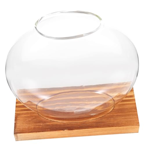 ibasenice Hydroponische Dill Ornamente Schreibtisch Dekoration Künstliche Pflanzen Zur Dekoration Innenvase Dekorative Ornamente Für Geformte Dekoration Terrarium Wasserpflanzer Holz von ibasenice