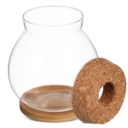 ibasenice Kleines Hydroponisches Terrarium aus mit Bambusunterlage Desktop Aquarium für Betta Fische und Pflanzen Transparent für Tisch und Büro ibasenice Kleines Hydroponisches Terrarium aus mit Bambusunterlage Desktop Aquarium für Betta Fische und Pflanzen Transparent für Tisch und Büro von ibasenice