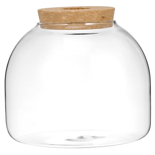 ibasenice Kleines Terrarium für Hydroponische Pflanzen Ökosystem Behälter für Moos und Fische Dekorative Vase für Indoor Gestaltung Korkdeckel und Lochstopfen von ibasenice