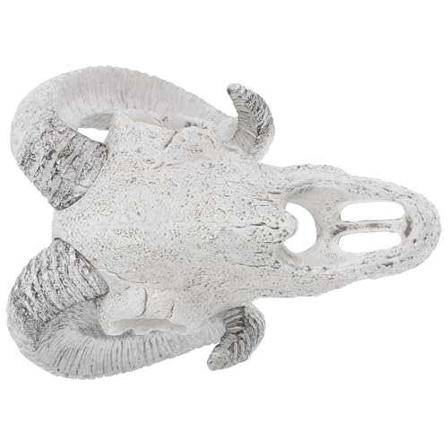 ibasenice Totenkopf Aus Reptilienhaut Als Dekoration Künstliche Höhle Für Terrarium Aquarium Und Reptilienbecken Authentische Simulation Und Natürlicher Unterschlupf Für Haustiere ibasenice Totenkopf Aus Reptilienhaut Als Dekoration Künstliche Höhle Für Terrarium Aquarium Und Reptilienbecken Authentische Simulation Und Natürlicher Unterschlupf Für Haustiere von ibasenice