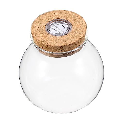 ibasenice LED Glasflasche mit LED Licht Praktische Aquarium Flasche für DIY Mikrolandschaften und Pflanzen zur Dekoration Ihres für Aquaristik von ibasenice