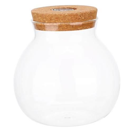 ibasenice LED Mikro Landschaftsflasche mit LED Beleuchtung Dekorative Glasvase für DIY Projekte für Pflanzen und Fische Geeignet für Wohnzimmer Büro und von ibasenice