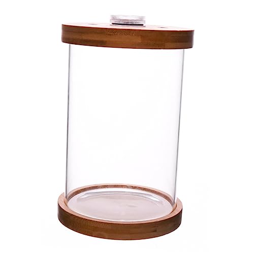 ibasenice LED Mini Aquarium Fischbehälter mit Holzdeckel und Sockel Transparentes Borosilikatglas Stabiles Design Dekoratives LED Licht Kleiner Desktop Fischtank für Wohn und Bürodekoration von ibasenice