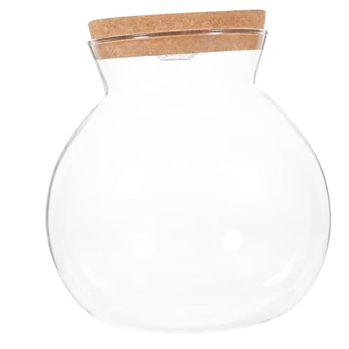ibasenice LED Terrarium Flasche mit Holzdeckel und LED Beleuchtung DIY Mikro Landschaftsflasche für Zuhause Kreatives Glasbehälter für Sukkulenten und Moos Kompakt und Dekorativ ibasenice LED Terrarium Flasche mit Holzdeckel und LED Beleuchtung DIY Mikro Landschaftsflasche für Zuhause Kreatives Glasbehälter für Sukkulenten und Moos Kompakt und Dekorativ von ibasenice