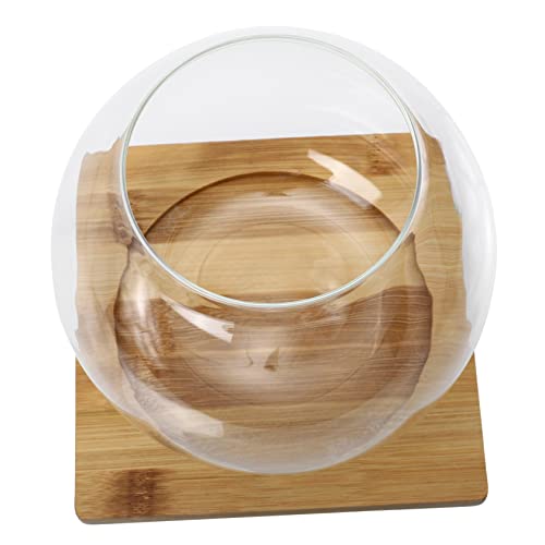 ibasenice Micro Landschafts Glasflasche mit Rundem Boden Ökologisches DIY Moos Terrarium mit Transparentem Behälter und Unterlage Dekorative Vase für Zuhause und Büro von ibasenice
