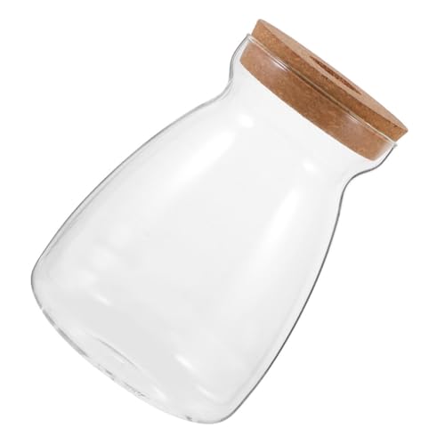 ibasenice Mikro Landschaftsflasche Pflanzen Fische Pflanzenbehälter Home Office Terrarium Mikro Landschaftsbehälter Holzdeckel Vase Dekoration Mikro Terrarium Glas Transparent von ibasenice