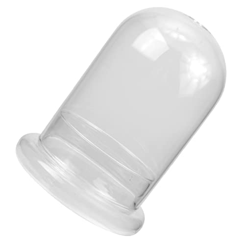 ibasenice Mikrolandschaft Glasflasche DIY Ökosystem für Terrarien mit Öffnung Langlebige und Durchsichtige Dekovase für Pflanzen und Moos für und Außendekoration ibasenice Mikrolandschaft Glasflasche DIY Ökosystem für Terrarien mit Öffnung Langlebige und Durchsichtige Dekovase für Pflanzen und Moos für und Außendekoration von ibasenice