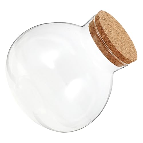 ibasenice Mikrolandschafts Ökoflasche Durchsichtiges Glas Ökosystemflasche Moos Landschaftsflasche Mikropflanzenglas Knospenvase Sukkulentenglas Luftpflanzenglas Durchsichtiges ibasenice Mikrolandschafts Ökoflasche Durchsichtiges Glas Ökosystemflasche Moos Landschaftsflasche Mikropflanzenglas Knospenvase Sukkulentenglas Luftpflanzenglas Durchsichtiges von ibasenice