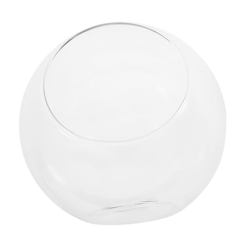 ibasenice Mikrolandschaftsvase Aus Glas Fischglas Aus Glas Terrarienkugel Landschaft Flasche Terrarienschalen Bubble -schüssel Glasvase Terrarienglas Hydrokultur-töpfe Transparent von ibasenice