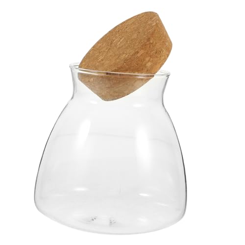 ibasenice Glas-Terrarium Mit Holzstopfen Hydroponisches Pflanzen-ökosystem Mikrolandschaft Container Für Zimmerpflanzen Blumen Und Dekoration Transparenter Glastopf Für Natürliche von ibasenice