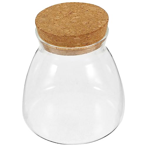 ibasenice Glas-Terrarium-behälter Mit Korkdeckel Hydroponisches Pflanzengefäß Für Mikrolandschaften Für Innendekoration Und Kreative Gartenarbeiten von ibasenice