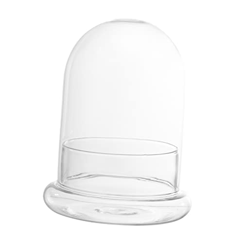 ibasenice Ökologische Flasche Moss Ausstellungskuppel Glashaube Terrarien Pflanzenglockenkuppel Baum Gießen Mikro Tassenhalter Anlage Cloche-kuppel Anzeigen Borosilikatglas Transparent von ibasenice