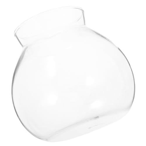 ibasenice Ökologische Mikrolandschaftsflasche Desktop Tischaquarium Klein Tischplatte Anlage Mini Tischfischbecken Tank Pflanzen Luft Wand Transparent Glas Mit Hohem Borosilikatgehalt von ibasenice