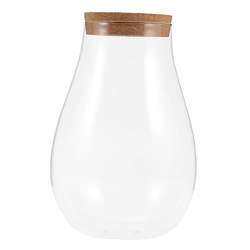 ibasenice Ökologische Mikrolandschaftsflasche Fisch Terrarienflasche Pflanze Terrarium Glas klein Terrarienglas zimmerpflanzen Sustainability Pflanzen Terrarium ökologische Flasche hölzern von ibasenice