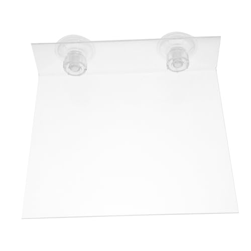 ibasenice Papageienständerplattform Vogelstangen Papageienbarsch Zubehör Für Papageienkäfige Papageienspielzeug Nymphensittich-plattform Papageienspielständer Vogel Stehen Acryl Transparent von ibasenice