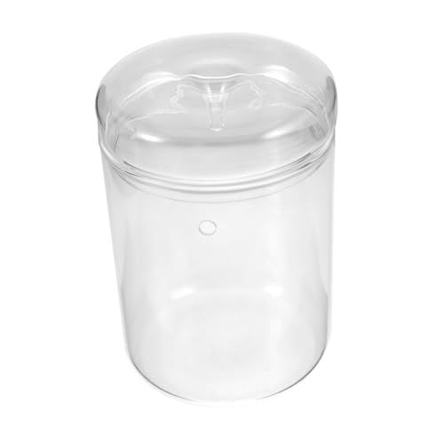 ibasenice Pflanzen Dekorative Flasche Dekorativer Mikro Landschaftsbehälter Moos Landschaftsbehälter Tischschmuck Terrarium Transparente Flasche Einfache Flasche Hydroponische Vase von ibasenice