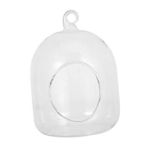 ibasenice Pflanzenterrarium: Wartungsarme Luftpflanzlampe Für Hydrokulturen – Kreatives DIY-pflanzenset Als Schreibtischdekoration Im Büro – Moos-Terrarium-glasflasche ibasenice Pflanzenterrarium: Wartungsarme Luftpflanzlampe Für Hydrokulturen – Kreatives DIY-pflanzenset Als Schreibtischdekoration Im Büro – Moos-Terrarium-glasflasche von ibasenice