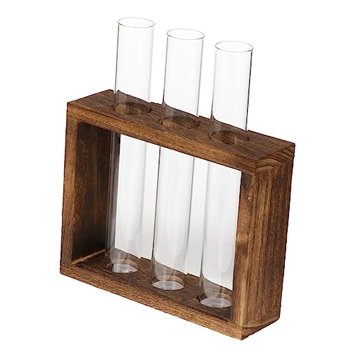 ibasenice Reagenzglasvase Pflanzenausbreitung Hydroponik Drinnen Fläschchen Wachsend Anlage Wasserrohre Für Blumen Mini Pflanzenterrarium Röhren Testrohre Selbst Prüfen Mit Dekorativ Holz ibasenice Reagenzglasvase Pflanzenausbreitung Hydroponik Drinnen Fläschchen Wachsend Anlage Wasserrohre Für Blumen Mini Pflanzenterrarium Röhren Testrohre Selbst Prüfen Mit Dekorativ Holz von ibasenice