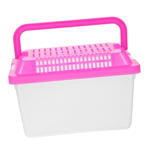 ibasenice Reptilien Transportbox Transparente Futter und Wasserbehälter für Kleine Haustiere Schildkröten und Geckos Tragbarer Brutkasten mit Sicherheitsdeckel Zufällige Farbauswahl ibasenice Reptilien Transportbox Transparente Futter und Wasserbehälter für Kleine Haustiere Schildkröten und Geckos Tragbarer Brutkasten mit Sicherheitsdeckel Zufällige Farbauswahl von ibasenice
