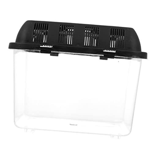 ibasenice Reptilien Zuchtbox Mit Tragegriff Transparente Fütterungsbox Für Spinnen Und Reptilien Für Tierzüchter Und Haustierliebhaber Sicher ibasenice Reptilien Zuchtbox Mit Tragegriff Transparente Fütterungsbox Für Spinnen Und Reptilien Für Tierzüchter Und Haustierliebhaber Sicher von ibasenice