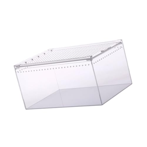 ibasenice Reptilienbox Transparente Zuchtbox für Frösche Spinnen Schlangen und Robust Wasserfest für Haustiere Wie Geckos und Einsiedlerkrebse von ibasenice